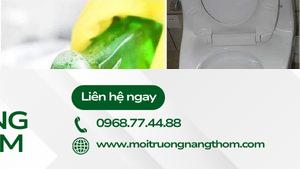 Sử dụng nước rửa chén để thông bồn cầu