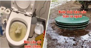 Hầm cầu bị đầy