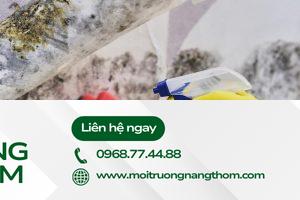 Tường nhà bị bẩn là nơi trú ngụ của vi khuẩn gây hại cho sức khỏe