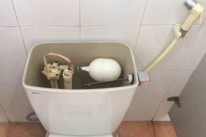 két nước bồn cầu không có nước