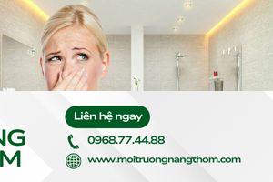 Mùi hôi khó chịu do không có nước để xả bồn cầu