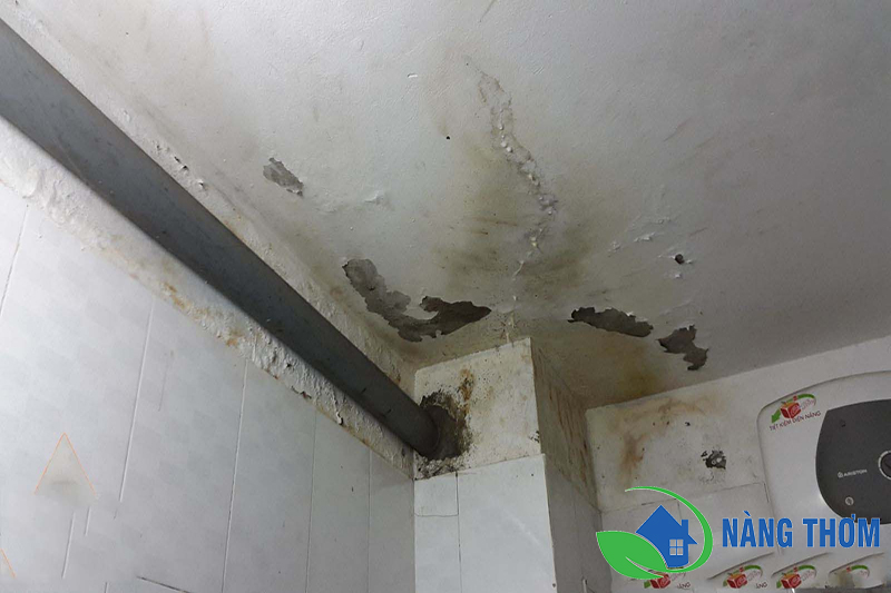 Nguyên nhân gây thấm nhà vệ sinh