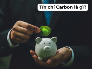 Tín chỉ Carbon là gì